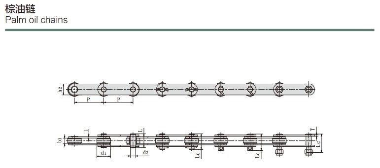 Cadenas de aceite de palma de alta calidad Cadenas de rodillos Cadenas transportadoras