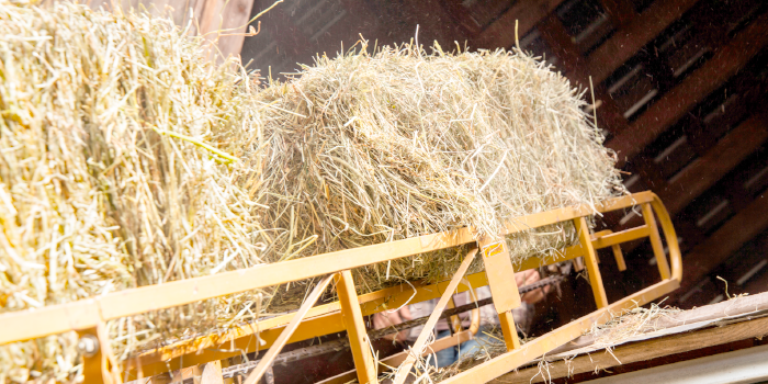 1691047237708563.png transportador de heno.png