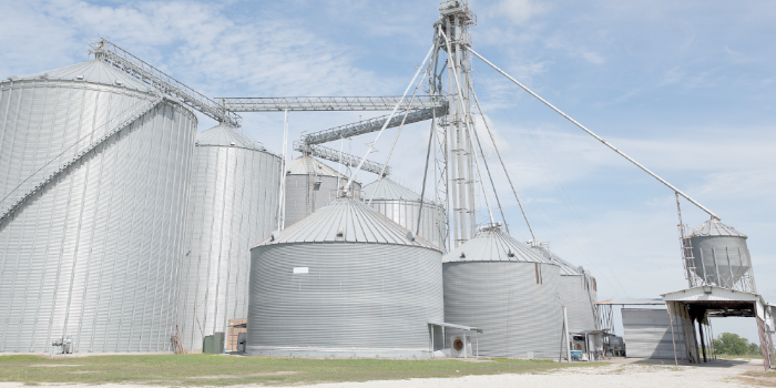 1691047270923599.png transportador de granos.png